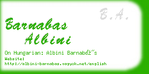 barnabas albini business card